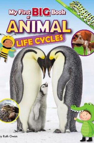 Cover of My First BIG Book of Animal LIfe Cycles