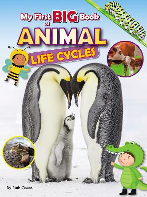 Book cover for My First BIG Book of Animal LIfe Cycles