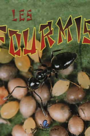 Cover of Les Fourmis (the Life Cycle of an Ant)