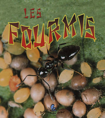 Book cover for Les Fourmis (the Life Cycle of an Ant)