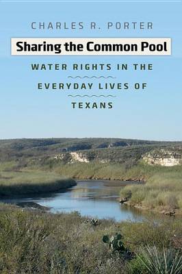 Book cover for Sharing the Common Pool