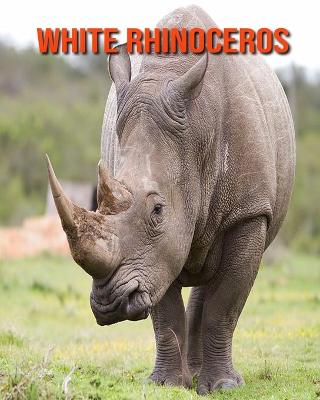 Book cover for White Rhinoceros