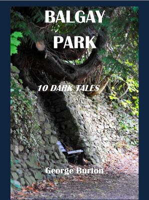 Book cover for Balgay Park