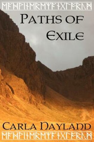 Cover of Paths of Exile