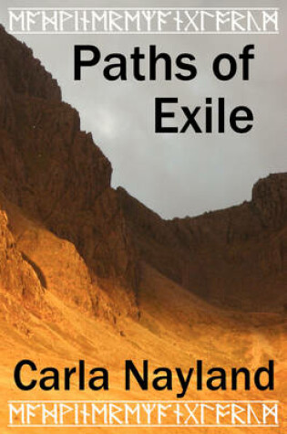 Cover of Paths of Exile