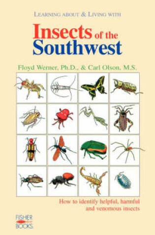 Cover of Insects Of The Southwest