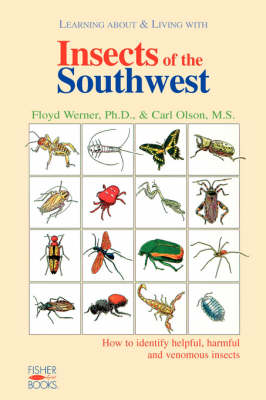 Book cover for Insects Of The Southwest