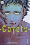 Book cover for Coyote, Vol. 1