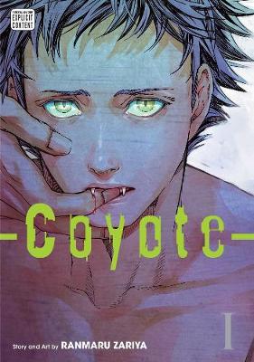 Book cover for Coyote, Vol. 1