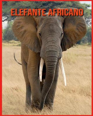 Book cover for Elefante Africano
