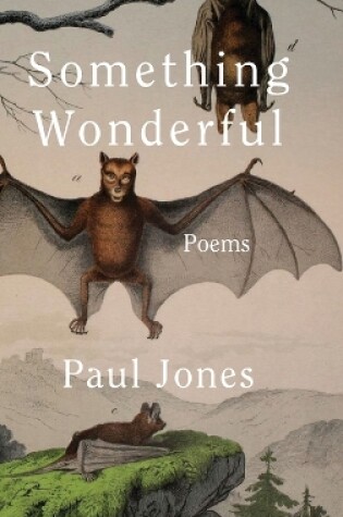 Cover of Something Wonderful