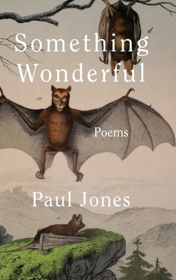 Book cover for Something Wonderful