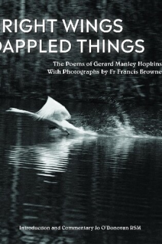 Cover of Bright Wings, Dappled Things
