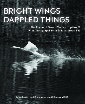 Book cover for Bright Wings, Dappled Things