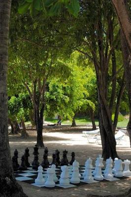 Book cover for Giant Chess Set in the Park