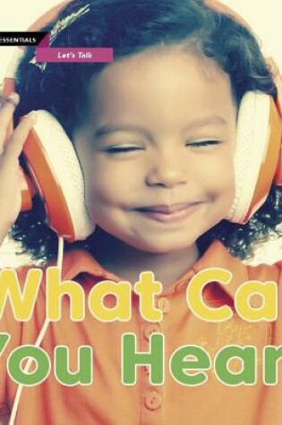 Cover of What Can You Hear?