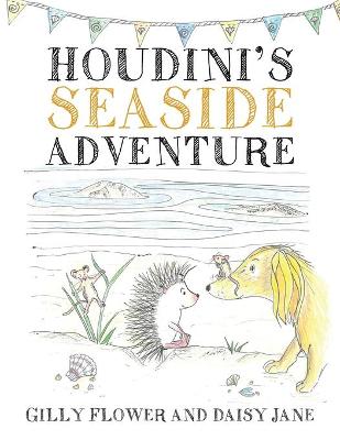 Book cover for Houdini's Seaside Adventure