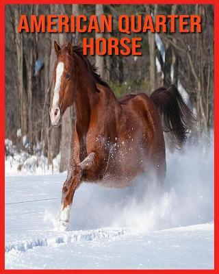 Book cover for American Quarter Horse