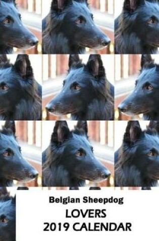 Cover of Belgian Sheepdog Lovers 2019 Calendar