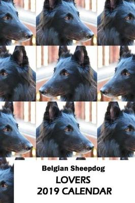 Book cover for Belgian Sheepdog Lovers 2019 Calendar