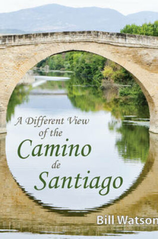 Cover of A Different View of the Camino de Santiago