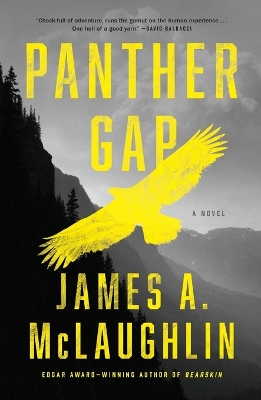 Book cover for Panther Gap