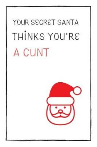 Cover of Your Secret Santa Thinks You're A Cunt