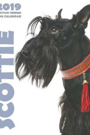 Cover of Scottie 2019 Scottish Terrier Dog Calendar