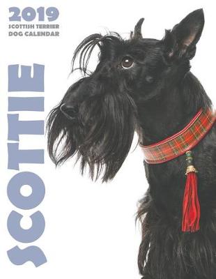 Book cover for Scottie 2019 Scottish Terrier Dog Calendar