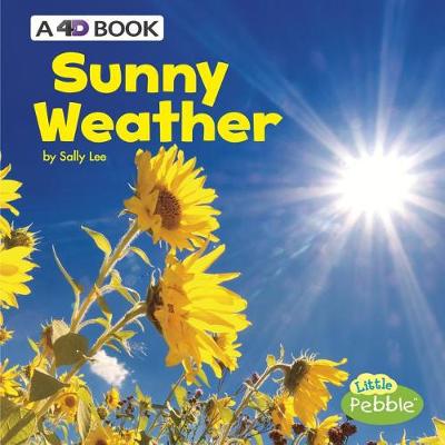 Book cover for Sunny Weather: a 4D Book (All Kinds of Weather)