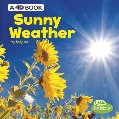 Book cover for All Kinds of Weather Sunny Weather a 4D Book