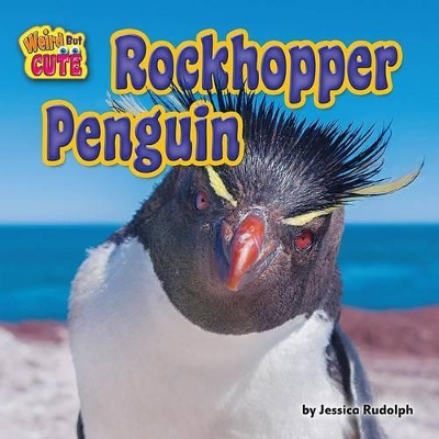 Cover of Rockhopper Penguin