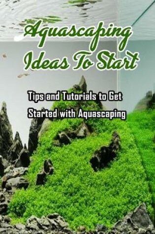 Cover of Aquascaping Ideas To Start