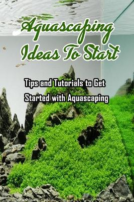 Book cover for Aquascaping Ideas To Start