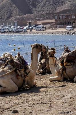 Book cover for Camels in Egypt Africa Resting by the Beach Journal