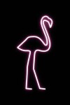 Book cover for Neon Flamingo Notebook