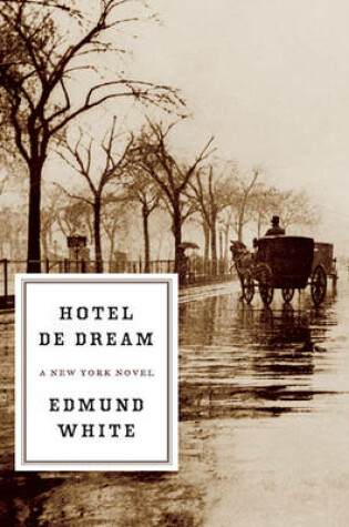 Cover of Hotel de Dream