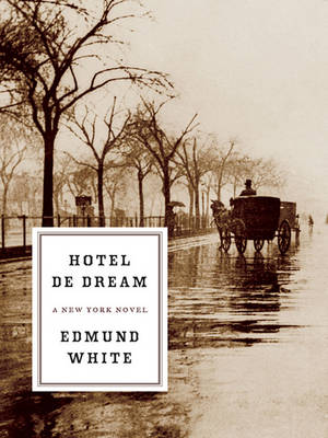 Book cover for Hotel de Dream