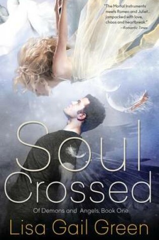 Cover of Soul Crossed