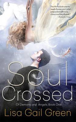 Cover of Soul Crossed
