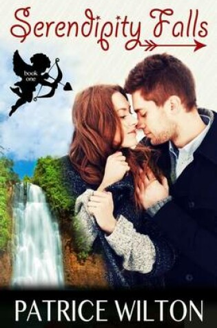 Cover of Serendipity Falls