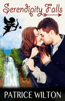 Book cover for Serendipity Falls