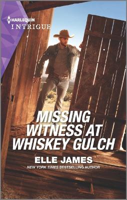Book cover for Missing Witness at Whiskey Gulch