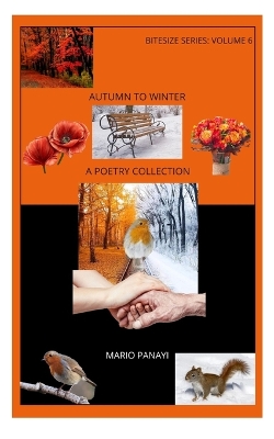 Book cover for Autumn to Winter