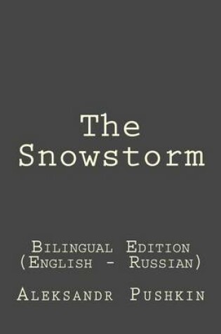 Cover of The Snowstorm