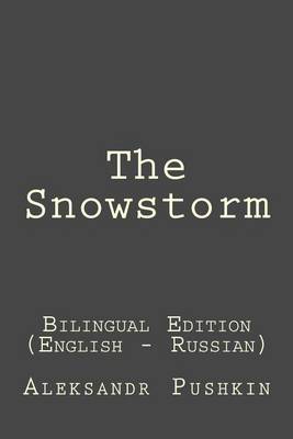 Book cover for The Snowstorm