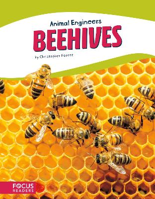 Book cover for Animal Engineers: Beehives