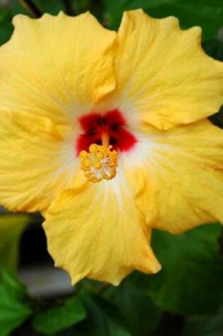 Cover of Hibiscus Yellow with a Red Center (for the Love of Flowers)