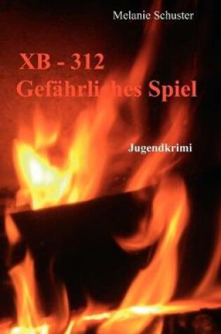 Cover of XB-312 Gefahrliches Spiel