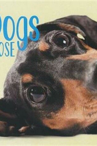 Cover of Pet Dogs Up Close